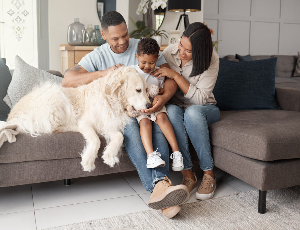 Contact Canine World | Dog Boarding & Daycare in Advance, NC